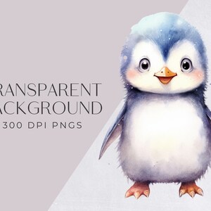 Penguin Clipart, Cute Watercolor Penguins for Nursery or crafting, for commercial use, Transparent PNGs, Winter and Christmas Clip art image 4