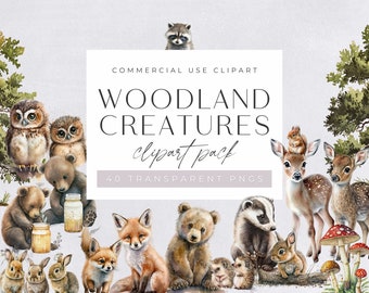 Woodland Animals Clipart Aquarelle, Clipart à usage commercial, PNG transparents, Clipart de pépinière, Renard, Ours, Cerf, Hérisson