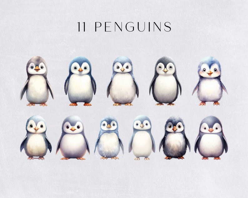 Penguin Clipart, Cute Watercolor Penguins for Nursery or crafting, for commercial use, Transparent PNGs, Winter and Christmas Clip art image 2