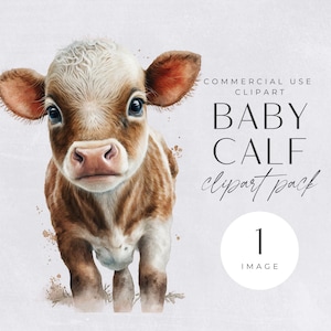 Cow Clipart Commercial License | SINGLE IMAGE | Transparent PNGs, Cute Watercolor Farm Animals, Brown & White Calf Clip Art, Nursery Decor,