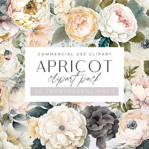 Apricot Floral Watercolor Clipart Pack, Orange, Peach & Cream Elegant Flowers, Clipart for commercial use, Floral Bouquet, Transparent PNGs