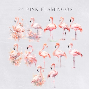 a group of pink flamingos standing next to each other