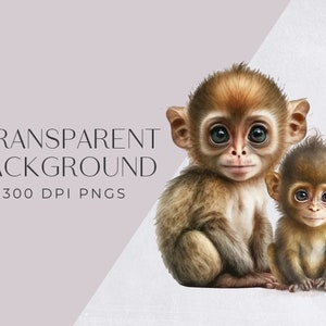 Watercolor Monkey Clipart, Cute Clipart for commercial use, Transparent PNGs, Jungle Animals Clip Art , Zoo Animals, Nursery Clipart image 3