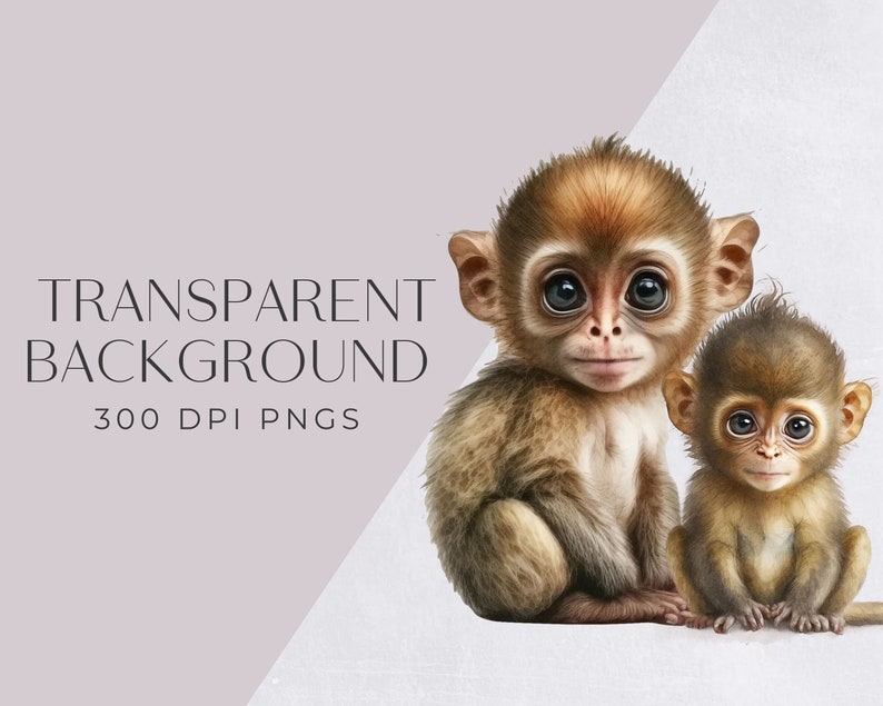 Watercolor Monkey Clipart, Cute Clipart for commercial use, Transparent PNGs, Jungle Animals Clip Art , Zoo Animals, Nursery Clipart image 3