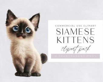 Siamese kittens clipart pack, illustraties voor commercieel gebruik, transparante png's, schattige, schattige aquarel katten, dierlijke illustraties