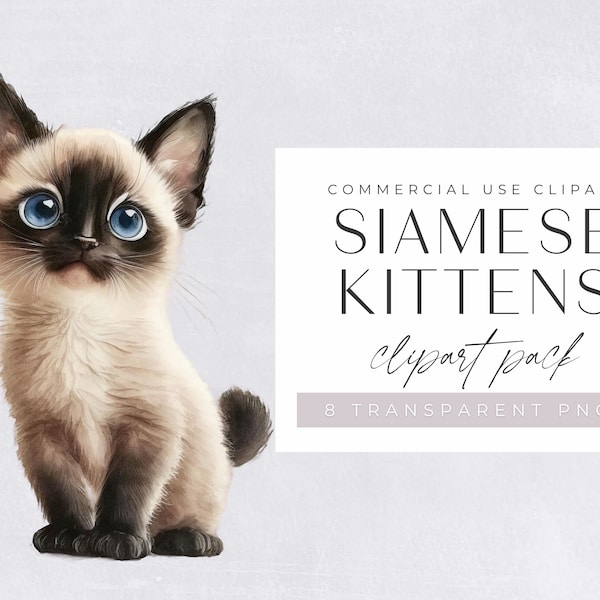 Siamese Kittens clipart pack, Clip art for commercial use, Transparent PNGs,  Cute, Adorable Watercolour Cats, Animal Clip art