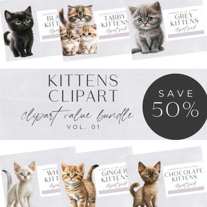 Clipart Watercolor Kitten Cat, Cute Cates Clip Art, Tabby, Ginger, Chocolate, Black, Grey White Kittens, Animals & Pets, Cat Breeds, Png