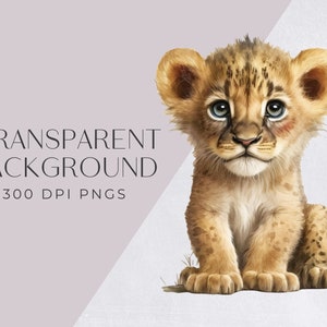 Baby Lion Akwarela Clipart, Ładny Clipart do użytku komercyjnego, Przezroczyste PNG, Zwierzęta Dżungli, Afrykańskie Safari Zoo Animal, Clipart Przedszkola zdjęcie 3