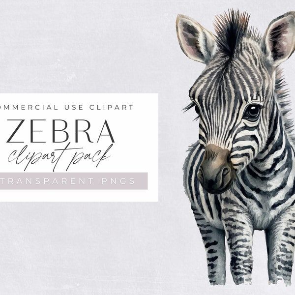 Zebra Watercolor Clipart, Cute Zebra Clip art for commercial use, Transparent PNGs,  African Zoo Animal,  Baby Zebra Silhouette, Nursery Art