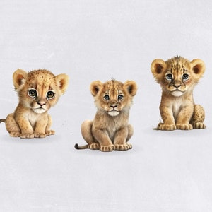 Baby Lion Akwarela Clipart, Ładny Clipart do użytku komercyjnego, Przezroczyste PNG, Zwierzęta Dżungli, Afrykańskie Safari Zoo Animal, Clipart Przedszkola zdjęcie 4