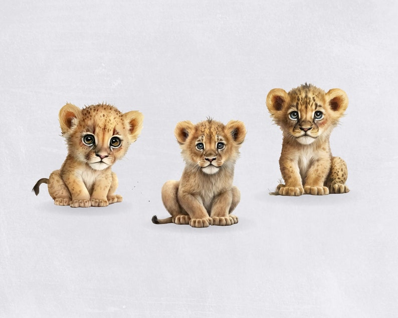 Baby Lion Akwarela Clipart, Ładny Clipart do użytku komercyjnego, Przezroczyste PNG, Zwierzęta Dżungli, Afrykańskie Safari Zoo Animal, Clipart Przedszkola zdjęcie 4