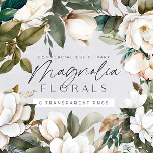 Clipart aquarelle fleur de magnolia, clipart png floral transparent, bouquet de fleurs blanches, bouquets de mariage à utiliser dans des produits numériques