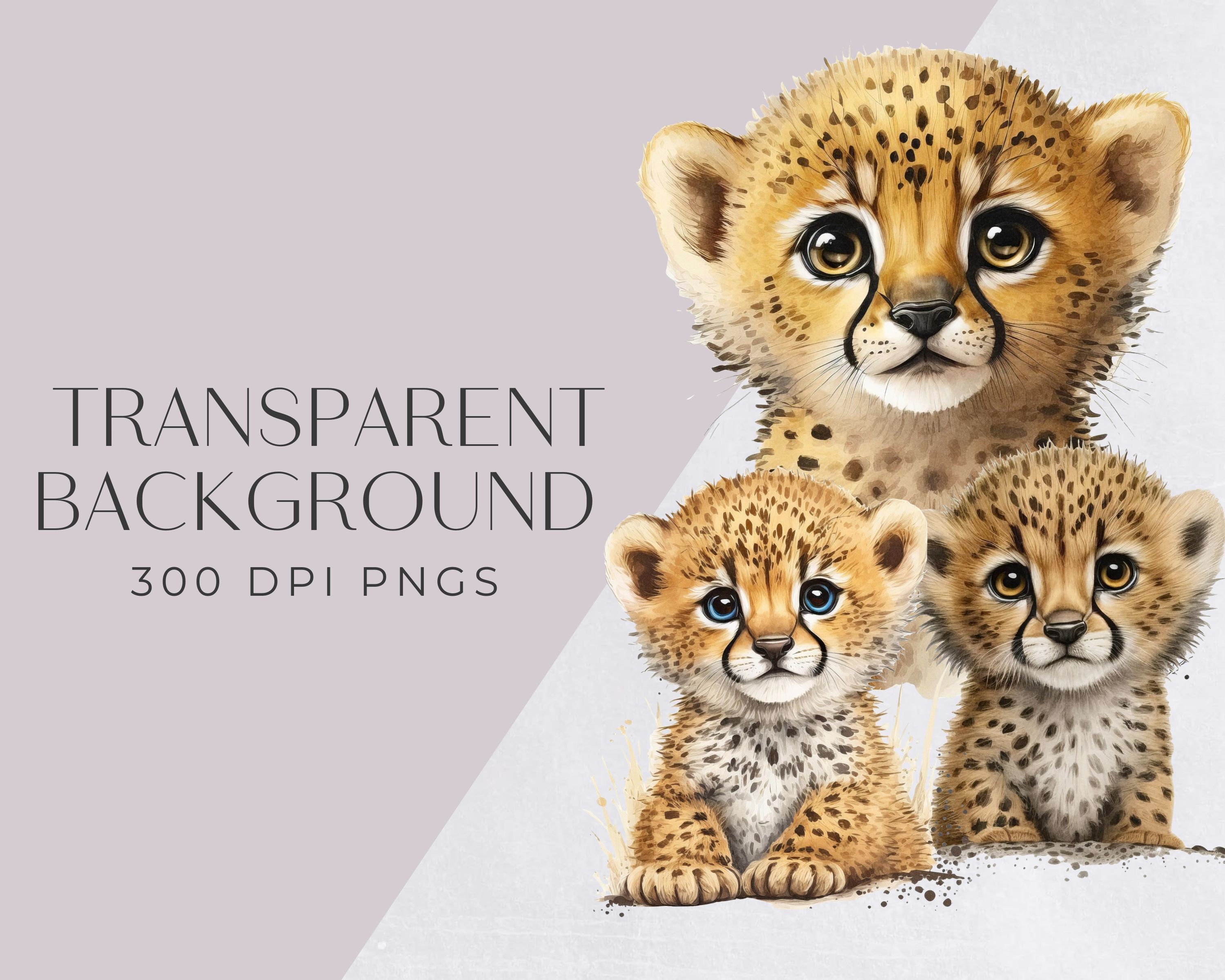 Baby Cheetah Watercolor Clipart, Cute Leopard Clip Art for Commercial Use,  Transparent Pngs, Jungle Animals, African Safari Zoo Animal, - Etsy, image size:3000x2400