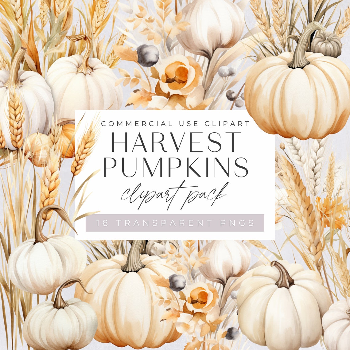 White Floral Pumpkin Clipart, Autumn Harvest Fall Thanksgiving Clipart ...