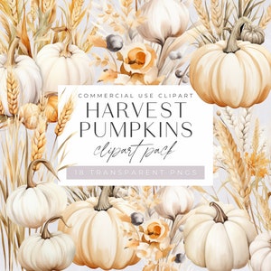 White Floral Pumpkin Clipart, Autumn Harvest Fall Thanksgiving Clipart, Watercolor Neutral Boho, Junk Journal, Little Pumpkin Baby Shower