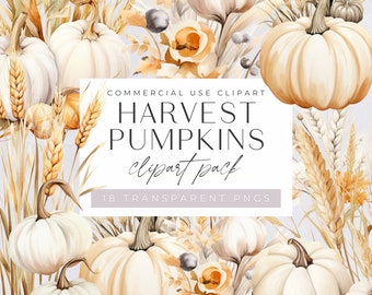 White Floral Pumpkin Clipart, Autumn Harvest Fall Thanksgiving Clipart, Watercolor Neutral Boho, Junk Journal, Little Pumpkin Baby Shower