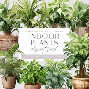 Potplanten aquarel clipart, kamerplantenliefhebbers, binnen tuinieren, botanisch groen en gebladerte, commercieel gebruik, Instant Download