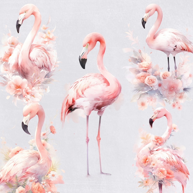 a group of pink flamingos standing next to each other