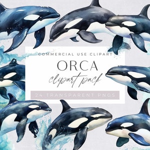 Orca Whale Clipart, Killer Whale, Marine Mammals, Big Fish, Ocean Life, Under the Sea, Junk Journal, transparent png, Commercial use