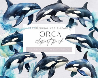 Orca Whale Clipart, Killer Whale, Marine Mammals, Big Fish, Ocean Life, Under the Sea, Junk Journal, transparent png, Commercial use