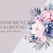Navy and Pink Floral Watercolor Clipart Pack, Navy and Blush Flower ...