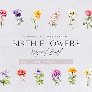 Pack de clipart fleurs mois de naissance, clipart à usage commercial, PNG transparents, aquarelle florale, fleurs de famille, coquelicot, Rose, marguerite