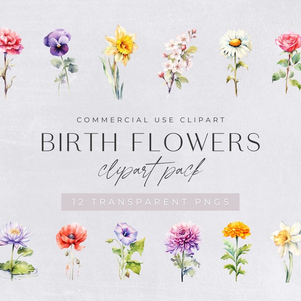 Birth Month Flowers Clipart Pack, Clip art for commercial use, Transparent PNGs, Watercolor Floral, Family Flowers, Poppy, Rose, Daisy