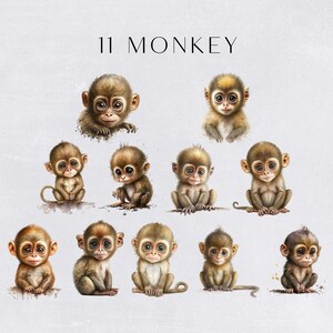 Watercolor Monkey Clipart, Cute Clipart for commercial use, Transparent PNGs, Jungle Animals Clip Art , Zoo Animals, Nursery Clipart image 2