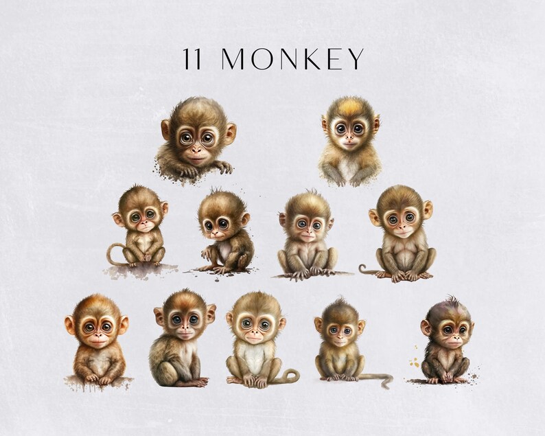 Watercolor Monkey Clipart, Cute Clipart for commercial use, Transparent PNGs, Jungle Animals Clip Art , Zoo Animals, Nursery Clipart image 2