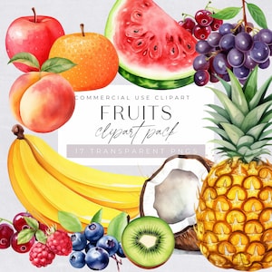 Watercolor Cute Fruits Clipart, Summer Fruit Illustrations, Grapes, Tropical Graphics, Apples, Coconuts, Banana, Pineapple, Pears,