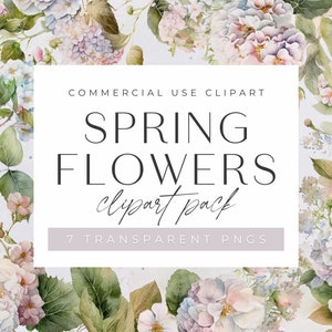 Spring Flowers Clipart, Floral transparent PNGs, Watercolor Hydrangea flower arrangements, commercial use