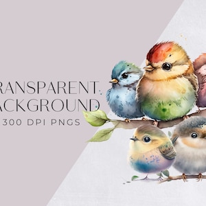 Bird Clipart Bundle, Colorful Watercolor Birds, Robin, on Branch, for commercial use, Cute Animal Clipart for Nursery, Transparent PNGs, image 2