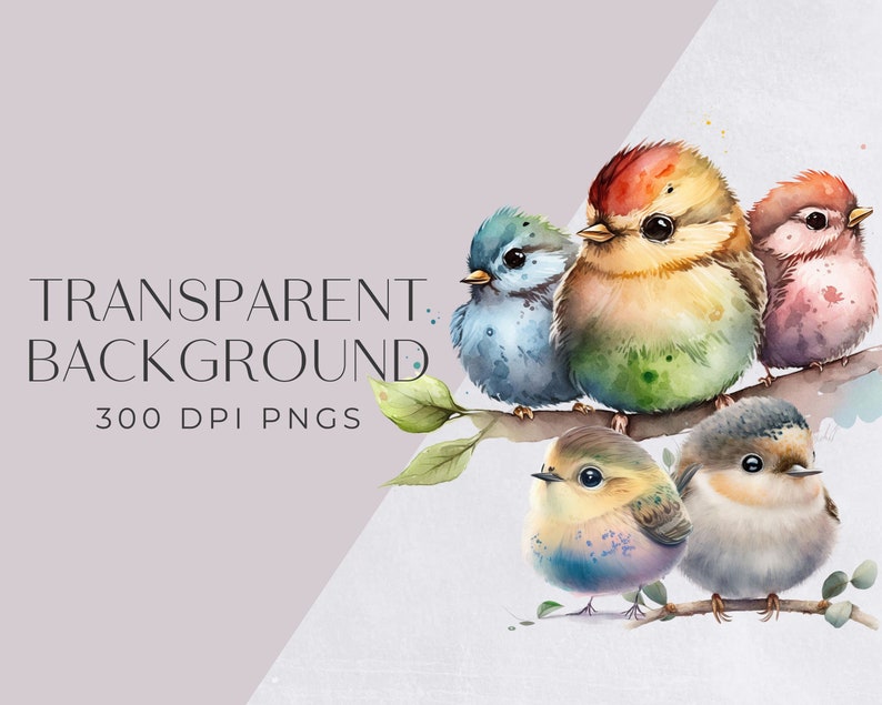 Bird Clipart Bundle, Colorful Watercolor Birds, Robin, on Branch, for commercial use, Cute Animal Clipart for Nursery, Transparent PNGs, image 2