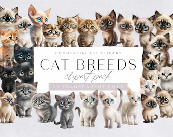 Aquarell Katzenrasse Clipart-Pack, 27 Pack, Clipart für kommerzielle Nutzung, transparente PNGs, Kinderzimmer Clipart, Kätzchen Siamese, Ragdoll, Ginger