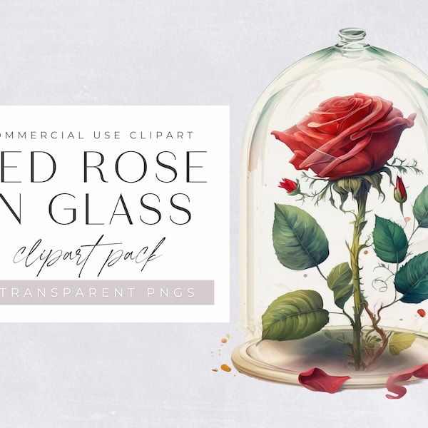 Red Roses in a glass, watercolor clipart, transparent floral png clip art, red flower posy, rose bouquets to use in digital products