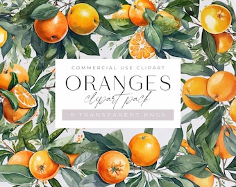 Watercolor Oranges Clipart , Tropical Summer Clip Art for commercial use, Transparent PNGs, Citrus Botanical Fruit, Instant Download, Wreath
