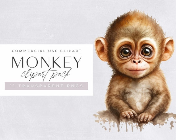 Watercolor Monkey Clipart, Cute Clipart for commercial use, Transparent PNGs,  Jungle Animals Clip Art , Zoo Animals, Nursery Clipart