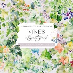 Ivy Vines Clipart, Greenery Wreath, Botanical Plant Clipart, Green Leaf Branch, Autumn Leaves, Flourish Garland, Foliagefor Commercial Use,