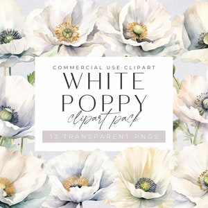 Pacote de clipart de papoula branca, papoulas em aquarela, buquê floral de verão para uso comercial, PNGs transparentes, clipart de flores silvestres