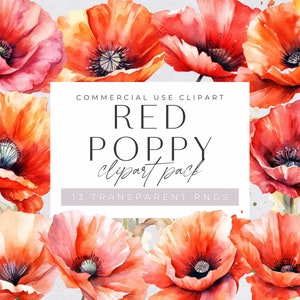 Roter Mohn Clipart Pack, Aquarell Mohnblumen, Sommer Blumenstrauß für kommerzielle Nutzung, transparente PNGs, Wildblumen Clip Art