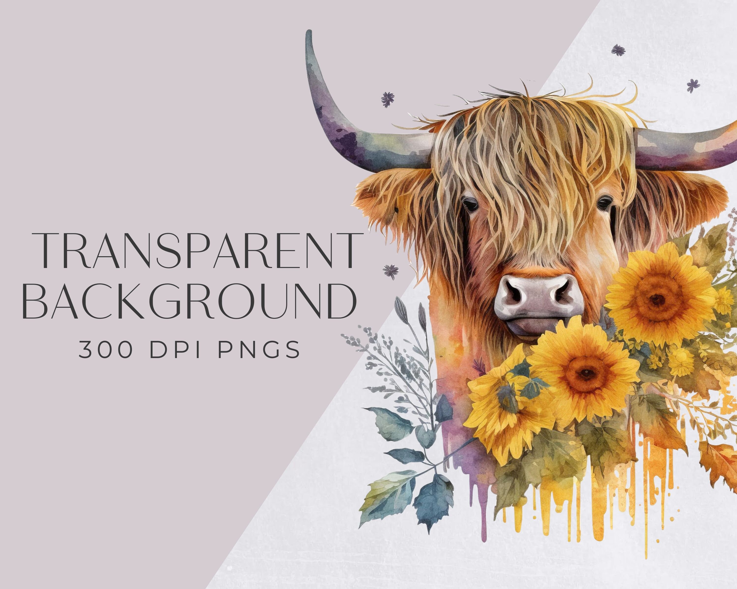 Highland Cow Clipart Watercolor With Sunflowers, Cute Cow Clip Art for ...