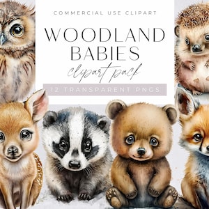 Pack de cliparts aquarelle bébé animaux des bois, Clipart à usage commercial, PNG transparents, clipart chambre d'enfant, renard, ours, cerf, hérisson