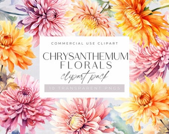 Pack de cliparts aquarelle chrysanthème, fleur du mois de naissance novembre pour usage commercial, orange, abricot, fleurs roses, PNG transparents