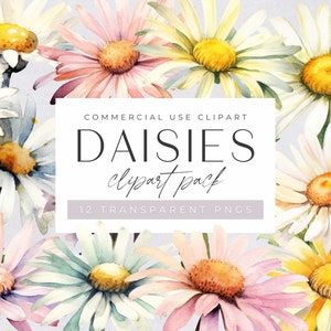 Watercolor Daisies Clipart Pack, Pink and White Daisy, Spring Floral Bouquet for commercial use, Transparent PNGs, Wildflower Clip Art