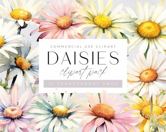 Watercolor Daisies Clipart Pack, Pink and White Daisy, Spring Floral Bouquet for commercial use, Transparent PNGs, Wildflower Clip Art