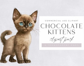 Chocolate Kittens clipart pack, Clipart for commercial use, Transparent PNGs, Nursery Clipart, Cute, Adorable Brown Kittens