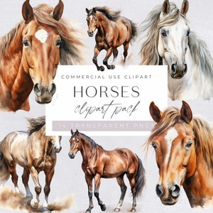 Watercolor Horse Clipart, Equestrian Clip Art, Brown Pony Graphic, Western Cowboy Illustration, Farm Animal, White Horses, Transparent PNGs,