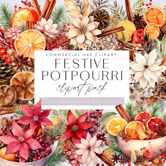 Christmas Potpourri Clipart, Festive printable tags, Stovetop Potpourri Clip Art, Watercolor Pine Cones & dried florals, Commerical Use,