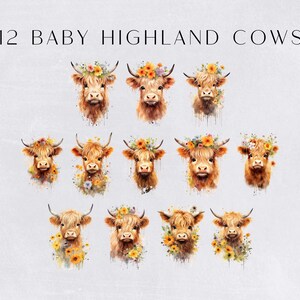 Baby Highland Cow Clipart Watercolor, Boho Cow With Flowers Clip Art ...