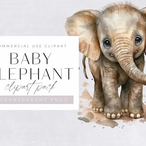 Baby Elephant Watercolor Clipart, Cute Clip art for commercial use, Transparent PNGs, African Safari Zoo Animal, Elephant Babies, Nursery